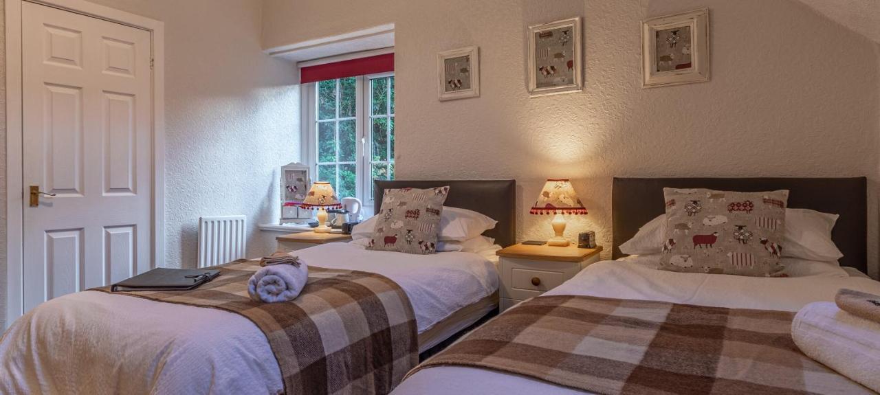 Glyntwrog House Panzió Betws-y-Coed Kültér fotó