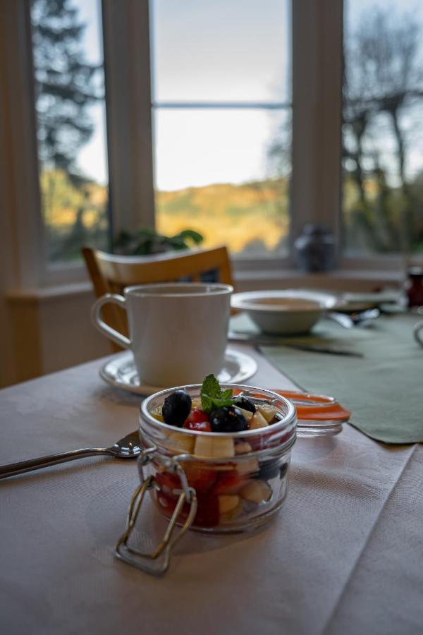 Glyntwrog House Panzió Betws-y-Coed Kültér fotó